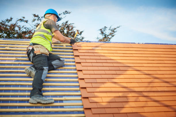 Best Roof Ventilation Installation  in Shannondale, WV